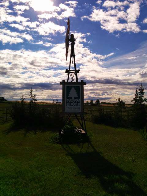 Namaka Ridge Tree Farm